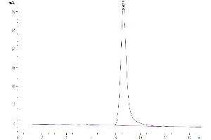 The purity of Human GITR is greater than 95 % as determined by SEC-HPLC. (TNFRSF18 Protein (AA 26-161) (Fc Tag))