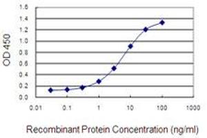 Detection limit for recombinant GST tagged GRIP1 is 0. (GRIP1 antibody  (AA 851-950))