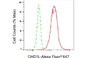 Flow cytometric analysis of CHD1L expression in HT- cells using CHD1L antibody (ABIN7798067), 1:2,000). (Recombinant CHD1L antibody)