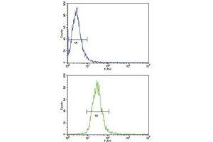 Flow cytometric analysis of NCI-H460 cells using TLR6 antibody (bottom histogram) compared to a negative control (top histogram). (TLR6 antibody  (AA 393-423))