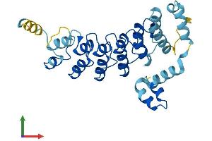 AlphaFold protein structure predicition of Human Recombinant ASB8 Protein, UniprotID Q9H765