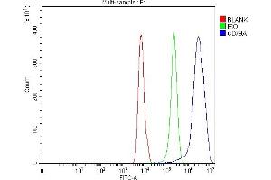 Flow Cytometry analysis of Ramos cells using anti-CD79A antibody (ABIN3043397).