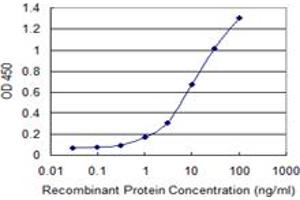 Detection limit for recombinant GST tagged PIK3C2A is 0. (PIK3C2A antibody  (AA 1577-1686))