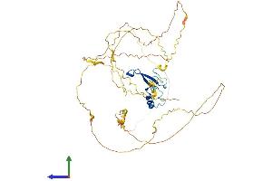 Protein Structure (PS) image for Methyl CpG Binding Protein 2 (MECP2) (AA 1-484) protein (His tag) (ABIN7556420)