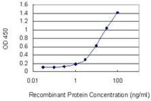 Detection limit for recombinant GST tagged PASD1 is 0. (PASD1 antibody  (AA 1-100))
