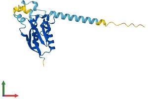 Protein Structure (PS) image for PPPDE Peptidase Domain Containing 1 (PPPDE1) (AA 1-194) protein (His tag) (ABIN7547000)