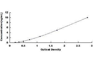 Bradykinin Receptor B2 (BDKRB2) ELISA Kit