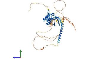 AlphaFold protein structure predicition of Human Recombinant MIDN Protein, UniprotID Q504T8 (MIDN Protein (AA 1-468) (His tag))