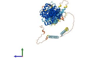Protein Structure (PS) image for EFR3 Homolog A (EFR3A) (AA 1-819) protein (His tag) (ABIN7564333)