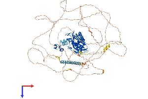 ITPKB Protein (AA 1-946) (His tag)