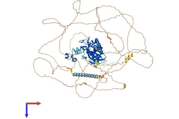 ITPKB Protein (AA 1-946) (His tag)