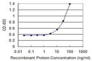 Detection limit for recombinant GST tagged ALOX15 is 1 ng/ml as a capture antibody. (ALOX15 antibody  (AA 1-662))