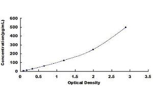 COL5A2 ELISA Kit
