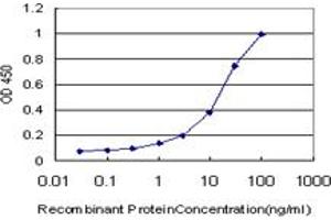Detection limit for recombinant GST tagged EGR1 is approximately 0. (EGR1 antibody  (AA 444-543))