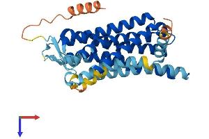 AlphaFold protein structure predicition of Human Recombinant OR10R2 Protein, UniprotID Q8NGX6 (OR10R2 Protein (AA 1-335) (His tag))