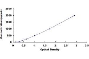 Typical standard curve (IFNB1 ELISA Kit)