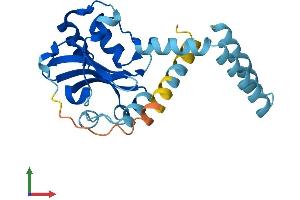 AlphaFold protein structure predicition of Human Recombinant LRAT Protein, UniprotID O95237