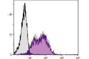 Human peripheral blood lymphocytes were stained with Mouse Anti-Human CD54-PE. (ICAM1 antibody)