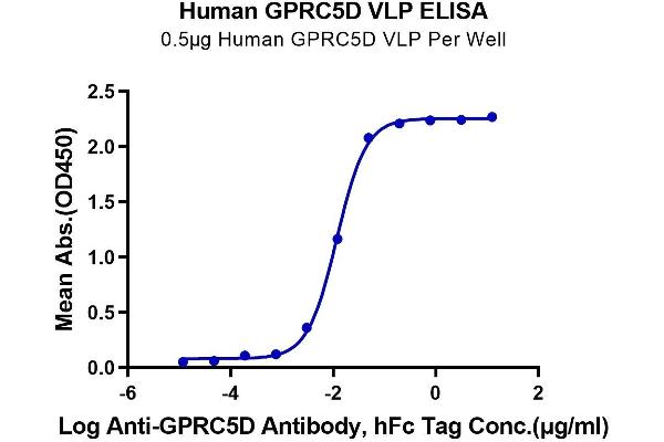 GPRC5D Protein-VLP (AA 1-345)