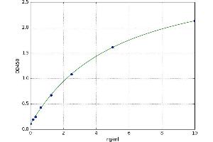 Ornithine Decarboxylase 1 (ODC1) ELISA Kit