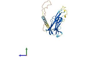 Protein Structure (PS) image for Lymphotoxin beta (TNF Superfamily, Member 3) (LTB) (AA 1-244) protein (His tag) (ABIN7544426)