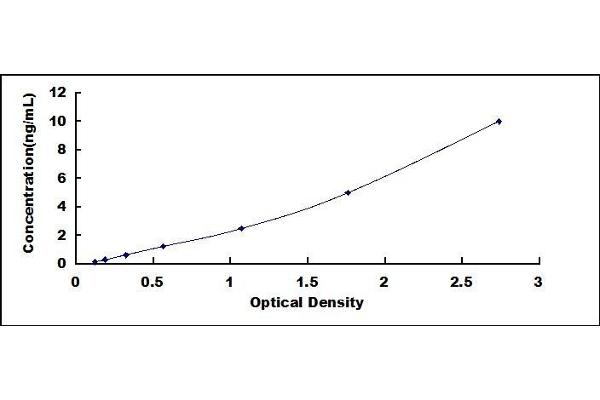 CEMIP ELISA Kit