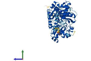 AlphaFold protein structure predicition of Human Recombinant GK2 Protein, UniprotID Q14410