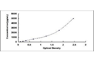 MMP13 ELISA Kit