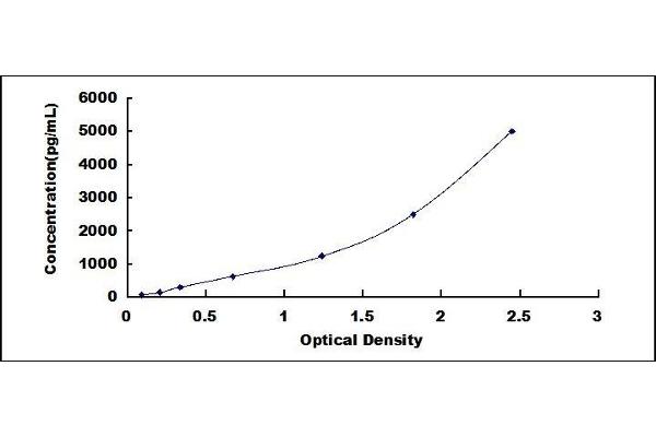MMP13 ELISA Kit