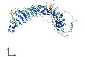 Protein Structure (PS) image for TELO2 Interacting Protein 1 (TTI1) (AA 1-1089) protein (His tag) (ABIN7555887)