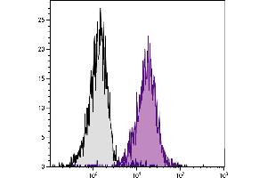 C57BL/6 mouse splenocytes were stained with Mouse Anti-Mouse H-2Db-PE. (H2-D1 antibody  (Biotin))