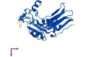 gamma-Glutamyltransferase Light Chain 3 (GGTLC3) (AA 1-225) protein (His tag)
