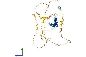 AlphaFold protein structure predicition of Human Recombinant MAFA Protein, UniprotID Q8NHW3 (MAFA Protein (AA 1-353) (His tag))