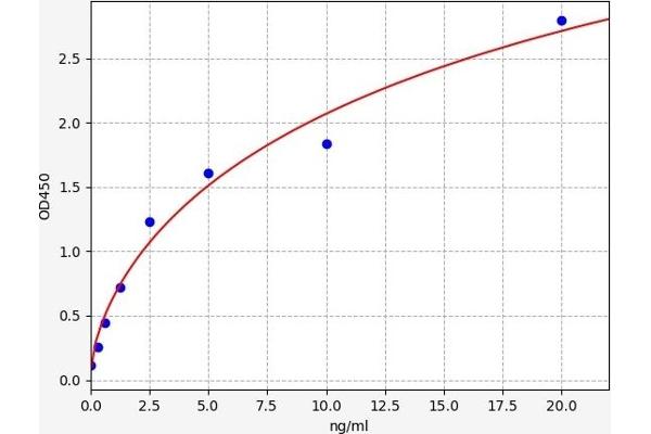 TNPO2 ELISA Kit