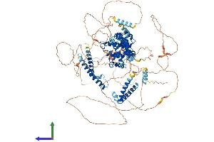 AlphaFold protein structure predicition of Human Recombinant FAM13A Protein, UniprotID O94988 (FAM13A Protein (AA 1-1023) (His tag))