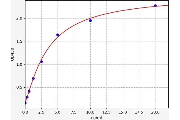 ATP2A3 ELISA Kit