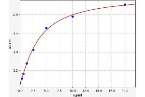 Typical standard curve (ATP2A3 ELISA Kit)