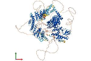 Protein Structure (PS) image for Lysine (K)-Specific Demethylase 6A (KDM6A) (AA 1-1401) protein (His tag) (ABIN7562560)