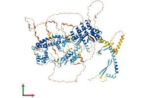 Protein Structure (PS) image for SIN3 homolog A, transcription regulator (SIN3A) (AA 1-1273) protein (His tag) (ABIN7555506)