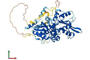 AlphaFold protein structure predicition of Human Recombinant NARF Protein, UniprotID Q9UHQ1 (NARF Protein (AA 1-456) (His tag))