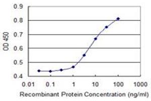 Detection limit for recombinant GST tagged MAP3K7IP1 is 1 ng/ml as a capture antibody. (TAB1 antibody  (AA 1-504))