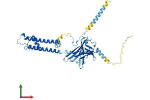 AlphaFold protein structure predicition of Human Recombinant KCNJ1 Protein, UniprotID P48048 (KCNJ1 Protein (AA 1-391) (His tag))