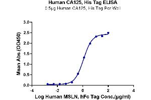Immobilized Human CA125 at 5 μg/mL (100 μL/well) on the plate. (MUC16 Protein (AA 12660-12923) (His-Avi Tag))