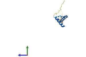AlphaFold protein structure predicition of Human Recombinant ERVK-21 Protein, UniprotID P61571 (ERVK-21 Protein (AA 1-104) (His tag))
