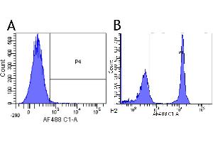 Flow-cytometry using anti-CD4 antibody 13B8. (Recombinant CD4 antibody)