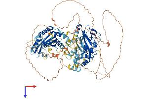 Poly (ADP-Ribose) Polymerase Family, Member 8 (PARP8) (AA 1-852) protein (His tag)