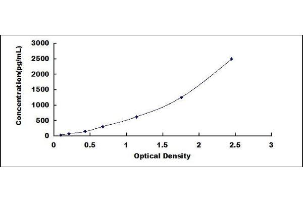 PKLR ELISA Kit