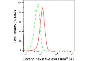 Flow cytometric analysis of Sorting nexin 5 expression in HAP-1 cells using Sorting nexin 5 antibody (ABIN7800410), 1:2,000).