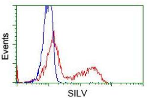 HEK293T cells transfected with either pCMV6-ENTRY SILV (RC200663) (Red) or empty vector control plasmid (Blue) were immunostained with anti-SILV mouse monoclonal (ABIN2452229, Dilution 1:1,000), and then analyzed by flow cytometry. (Melanoma gp100 antibody)