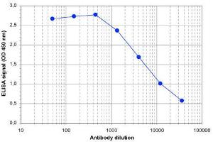 ELISA of anti-Jarid1c antibody ELISA results of Rabbit anti-Jarid1c antibody. (KDM5C antibody)